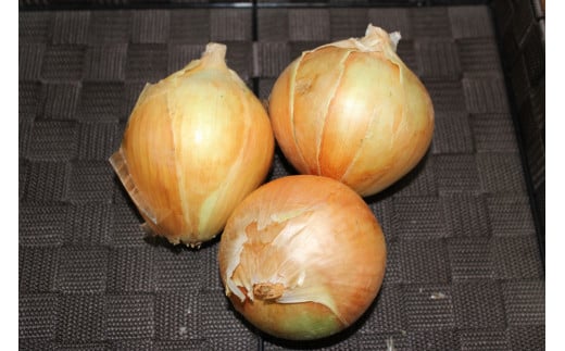 季節のお野菜セット（7～10種）  野菜 やさい 国産野菜 野菜便 野菜詰め合わせ 季節野菜 フレッシュ野菜 旬の野菜  鳥取県産品