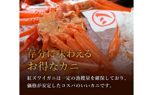 【蟹セレブ】ズワイガニ（紅ズワイガニ）大1杯（500から600g×1） 冷蔵 カニ ボイル 紅ズワイガニ 新鮮 ズワイガニ ずわいがに 期間限定 国産 鳥取県 倉吉市