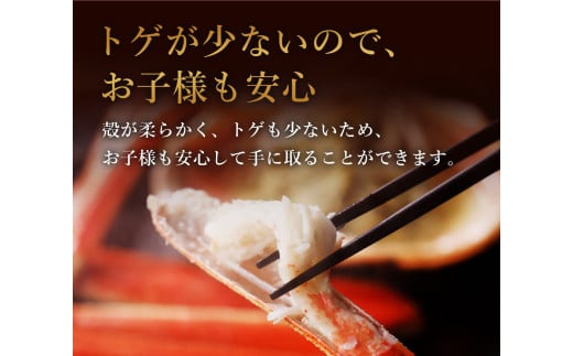 【蟹セレブ】ズワイガニ（紅ズワイガニ）大1杯（500から600g×1） 冷蔵 カニ ボイル 紅ズワイガニ 新鮮 ズワイガニ ずわいがに 期間限定 国産 鳥取県 倉吉市