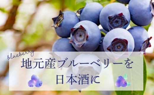 ブルーベリー酒【藍】 日本酒 カクテル ブルーベリー 鳥取県 倉吉市 スッキリ 甘い アルコール 生絞り 清涼飲料 炭酸 冷水 フルーティー