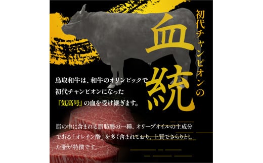 鳥取和牛 希少部位ステーキ 「 ミスジ 」 （100g） 国産 牛肉 和牛 みすじ 希少 ミスジ 鳥取和牛 黒毛和牛 肉 霜降り ブランド牛 最高級部位 鳥取県 倉吉市