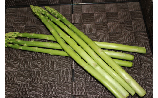 季節のお野菜セット（7～10種）  野菜 やさい 国産野菜 野菜便 野菜詰め合わせ 季節野菜 フレッシュ野菜 旬の野菜  鳥取県産品