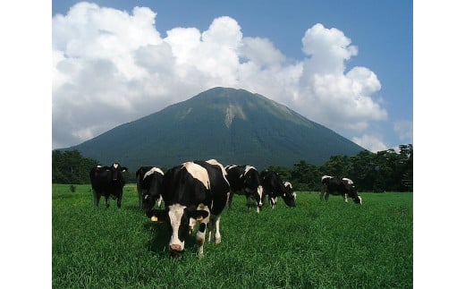 大山おいしいギフトミルク 牛乳 カフェオレセット （900ml×3）ギフト ミルク 牛乳 カフェオレ 大山乳業農業協同組合 大山乳業 鳥取県 倉吉市