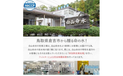白山命水セットＢ（10リットル×2箱） ミネラルウォーター 国産 人気 水 白山命水 天然水