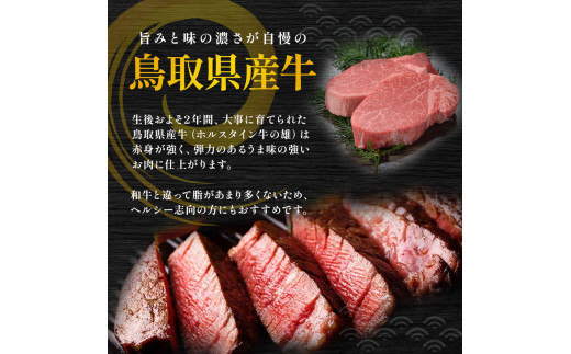 鳥取県産牛 ヒレの角切りステーキ （600g） 牛肉 ヒレ ヒレステーキ 国産牛 ステーキ 肉 国産 角切り フィレ 冷凍 最高級部位 真空 鳥取県 倉吉市