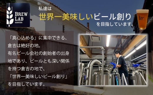ＢＲＥＷ　ＬＡＢ　ＫＵＲＡＹＯＳＨＩ　ゴールデンエール （９本入） ビール クラフトビール 地ビール ゴールデンエール 鳥取県 倉吉市 珍しい 美味しい ビール党 クラフトビア 手作り おすすめ 詰め合わせ 大容量