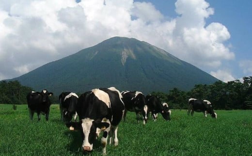 【大山乳業】白バラ牛乳アイスクオリティー（2000ml） 大山乳業 大山スイーツ 大山アイス 白バラ 白バラアイス 白バラスイーツ アイスクリーム アイス大容量 白バラ牛乳 倉吉 倉吉市