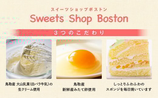 救急車 ３Ｄ立体型ケーキ ケーキ お祝い 誕生日 パーティー スイーツ オーダー バースデー 冷凍 鳥取県 倉吉市 縁起 めで鯛 1歳 七五三 長寿祝い 還暦 古希 喜寿 傘寿 米寿 卒寿 白寿 百寿 こどもの日