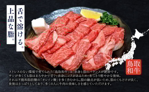 鳥取いなば万葉牛 焼肉用カルビセット（1kg） 鳥取和牛 国産 牛肉 和牛 黒毛和牛 カルビ 焼肉