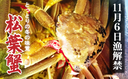 【先行予約】【魚倉】足１本なしボイル松葉ガニ（並500g） 訳あり 松葉ガニ カニ ズワイガニ カニ爪 ボイル 冷蔵 ずわいがに 国産 わけあり 足欠け 足かけ 鮮度抜群 鳥取県 倉吉市