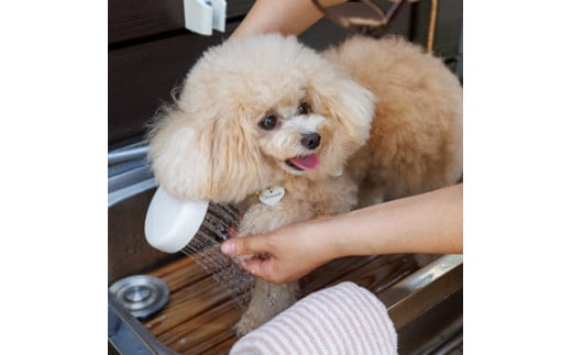 ペット用シャワー