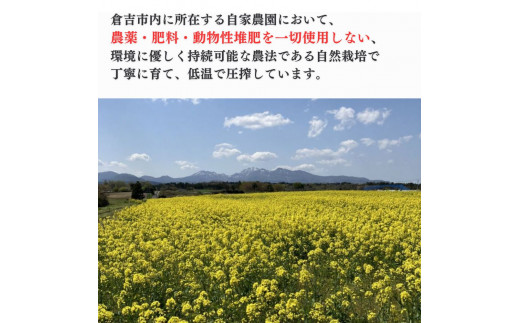 菜種油 ３本セット 油 調味料 食用油 なたね油 国産 圧搾 なたね 自然栽培 鳥取県 倉吉市