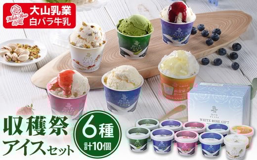 恵の収穫祭 アイス （6種類 計12個）