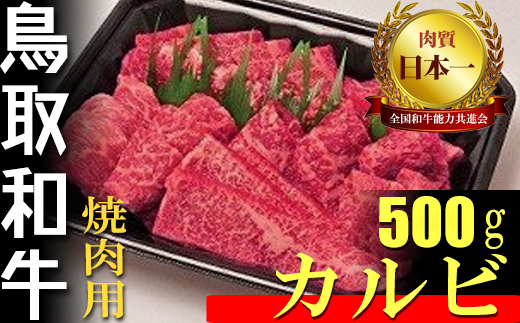 鳥取和牛 焼肉用 カルビ 500g 国産 牛肉 焼肉 和牛 上カルビ 黒毛和牛
