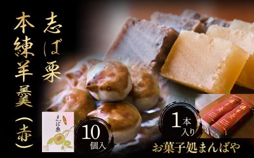 志ば栗と本練羊羹（赤）セット 栗 和菓子 ようかん 羊羹 小豆 スイーツ セット 鳥取県 倉吉市