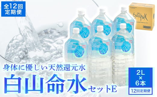 白山命水 セットE 12回定期便（ペットボトル2L×6本入り） ミネラルウォーター 国産 人気 水 白山命水 天然水 定期 定期便