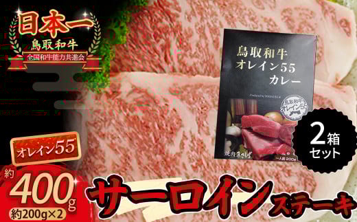 鳥取和牛 オレイン５５ サーロインステーキと鳥取和牛オレイン５５カレーセット 国産 牛肉 和牛 黒毛和牛 サーロイン カレー