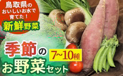 ※写真は一例です