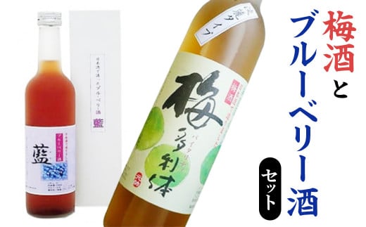 梅酒とブルーベリー酒セット 梅酒 日本酒 カクテル ブルーベリー 鳥取県 倉吉市 梅 スッキリ 爽やか アルコール 生絞り 清涼飲料 炭酸 冷水 フルーティー