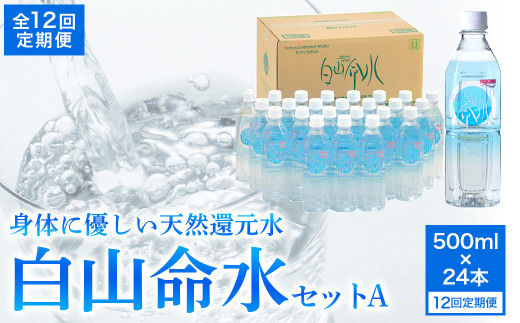 白山命水セットＡ 12回定期便（500ml×24本） ミネラルウォーター 国産 人気 水 白山命水 天然水 定期 定期便