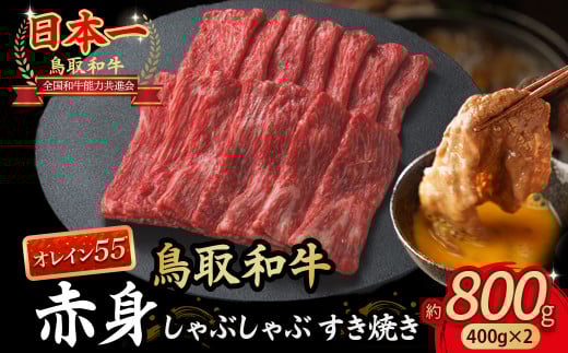 鳥取和牛 最高級品質【オレイン55】 赤身 しゃぶしゃぶすき焼き用 (800g) 鳥取和牛 オレイン55 赤身 モモ ウデ しゃぶしゃぶ すき焼き 国産 牛肉 ブランド牛 和牛 黒毛和牛 KR1275