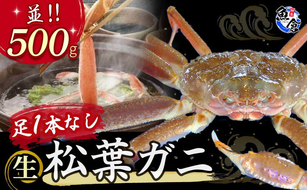 [魚倉]足1本なし生松葉ガニ(並500g) 訳あり 松葉ガニ カニ ズワイガニ カニ爪 冷蔵 かにしゃぶ カニ刺身 国産 わけあり 足欠け 足かけ