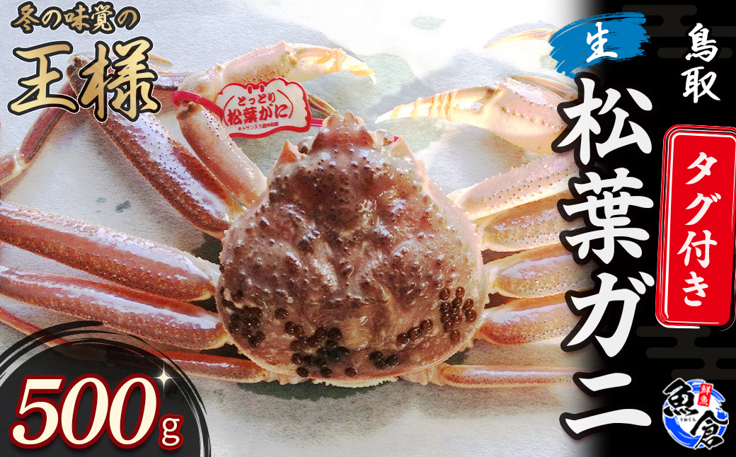 [魚倉]タグ付き生松葉ガニ(500g) 松葉ガニ カニ ズワイガニ カニ爪 タグ付き 冷蔵 かにしゃぶ カニ刺身 ずわいがに 生