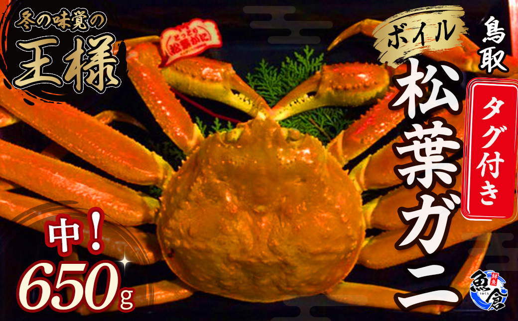 [魚倉]タグ付きボイル松葉ガニ(中650g)冷蔵 カニ ボイル 松葉ガニ タグ付き 新鮮 カニ爪 ズワイガニ ずわいがに おすすめ 国産