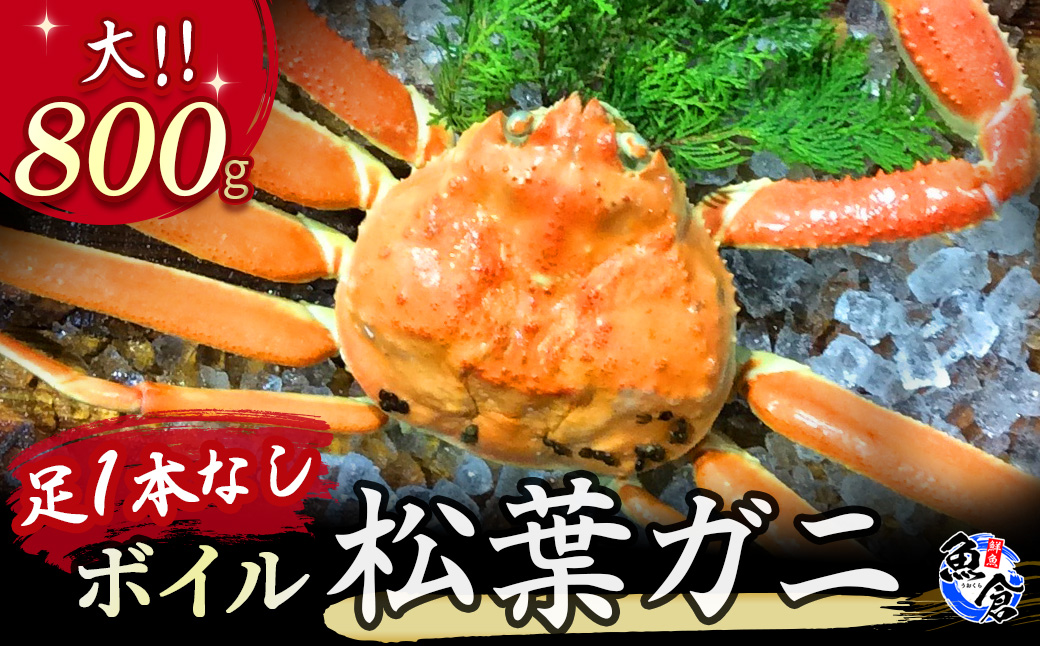 [魚倉]足1本なしボイル松葉ガニ(大800g)訳あり 松葉ガニ カニ ズワイガニ カニ爪 ボイル 冷蔵 ずわいがに 国産 わけあり 足かけ 足欠け