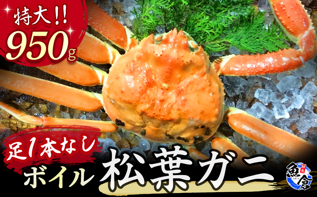 [魚倉]足1本なしボイル松葉ガニ(特大950g) 訳あり 松葉ガニ カニ ズワイガニ カニ爪 ボイル 冷蔵 ずわいがに 国産 わけあり 足欠け 足かけ