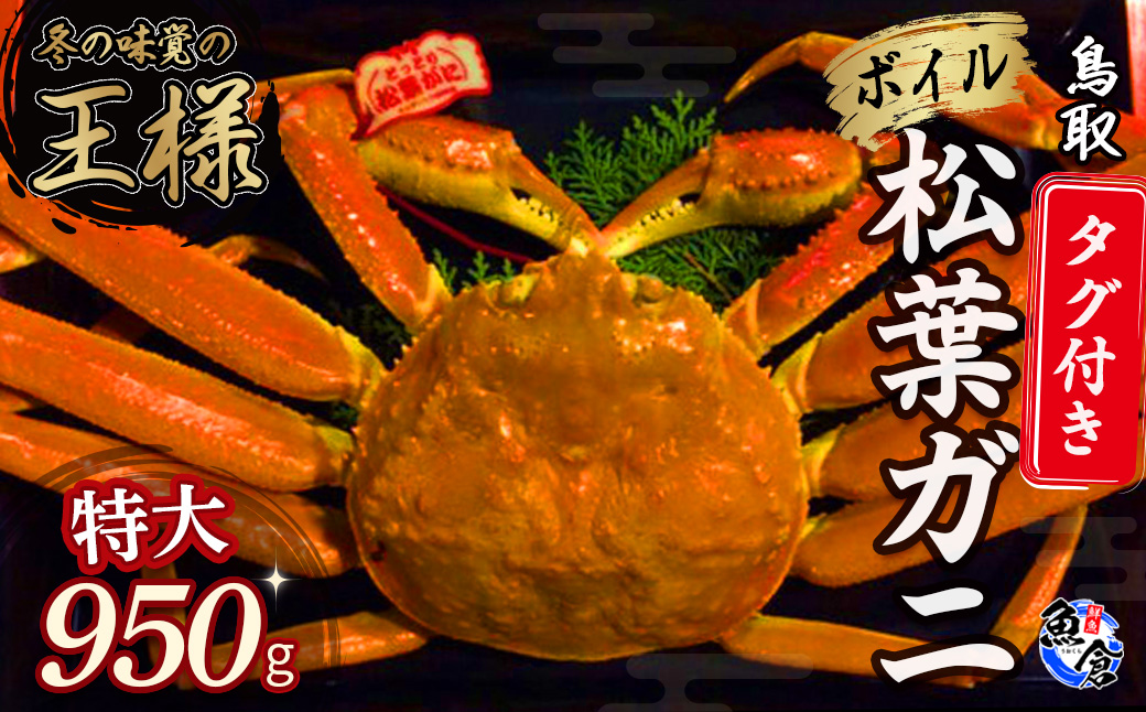 [魚倉]タグ付きボイル松葉ガニ(特大950g)冷蔵 カニ ボイル 松葉ガニ タグ付き 新鮮 ボイル ズワイガニ ずわいがに