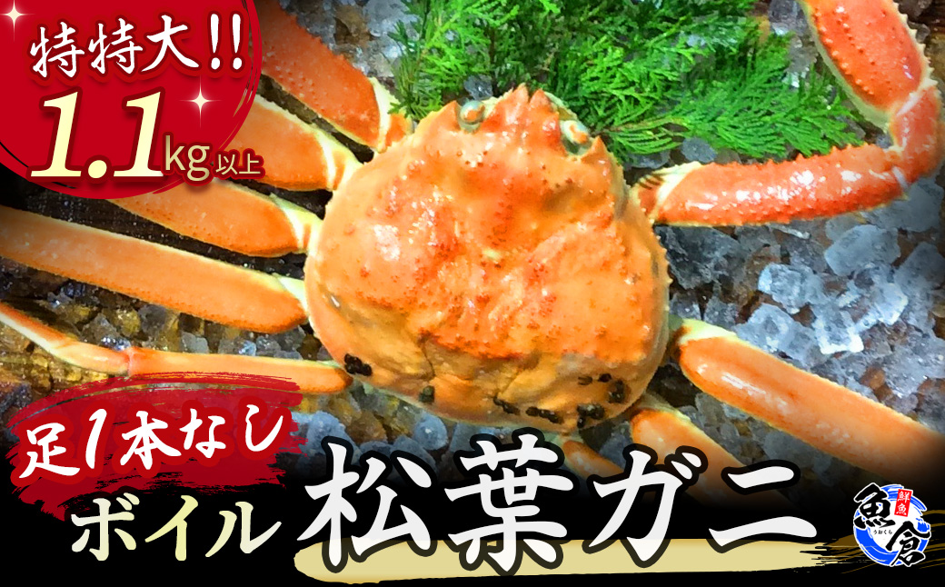 [魚倉]足1本なしボイル松葉ガニ(特特大1,100g以上)訳あり