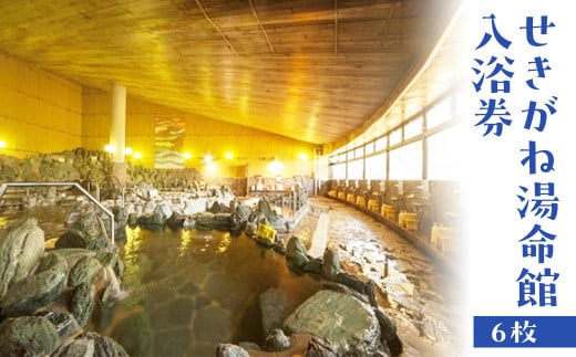 せきがね湯命館入浴券 温泉 入浴券 入浴 鳥取県 倉吉市