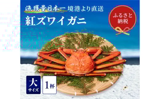 【蟹セレブ】ズワイガニ（紅ズワイガニ）大1杯（500から600g×1） 冷蔵 カニ ボイル 紅ズワイガニ 新鮮 ズワイガニ ずわいがに 期間限定 国産 鳥取県 倉吉市
