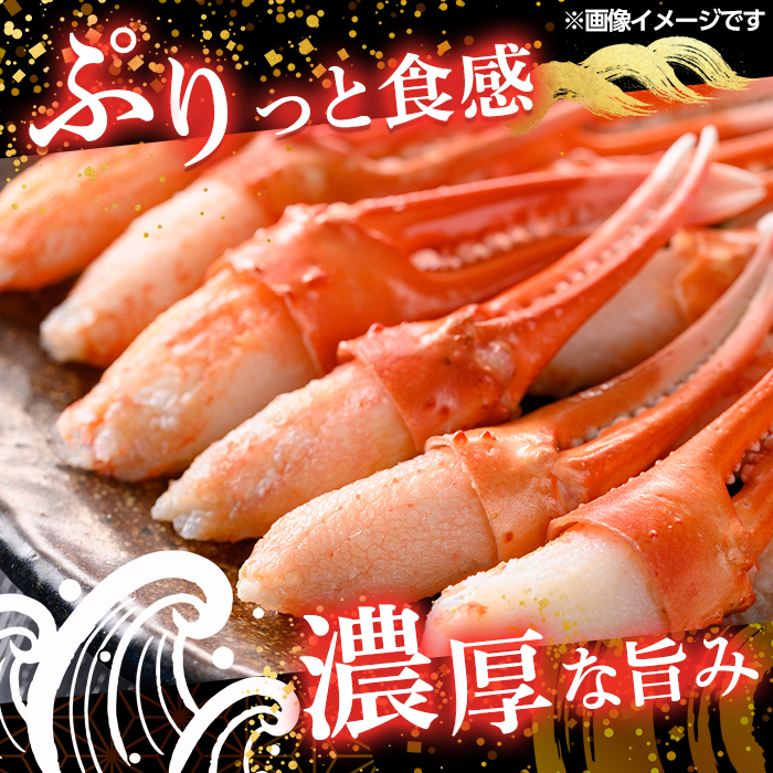紅ズワイガニ爪肉ポーション(2Lサイズ・500g) 【sm-AG011】【さんれいフーズ】