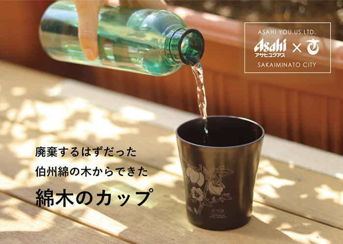 伯州綿の綿木のカップ(1個)【sm-BJ004】【境港市農業公社】