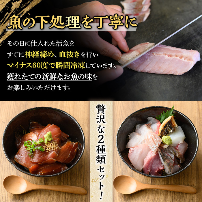 ＜数量限定＞地魚の刺身海鮮丼・漬け丼・茶漬けセット(計370g)【sm-BM001】【魚魚亭】