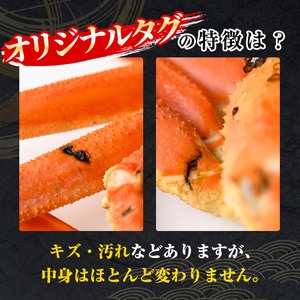 ＜数量限定＞＜オリジナルタグ付＞山陰産冷凍ボイル松葉ガニ姿(500g～700g・1尾入)【sm-CS004】【オーク】