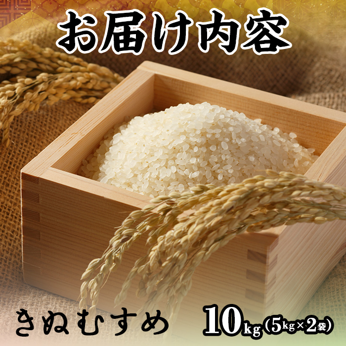 ＜2025年10月中旬～2026年8月下旬発送予定＞＜数量限定＞令和7年産米鳥取県産きぬむすめ(10kg)【sm-DD067】【Workplays】
