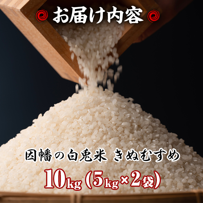 ＜2025年10月中旬～2026年8月下旬発送予定＞＜数量限定＞【因幡の白兎米】令和7年産米きぬむすめ10kg(5kg×2袋)【sm-DD070】【Workplays】