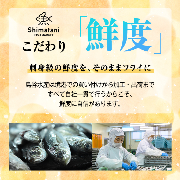 ＜訳あり＞鳥取県産こだわりのアジ開きフライ(30枚/約1.5kg)【sm-DU002-B】【島谷水産】