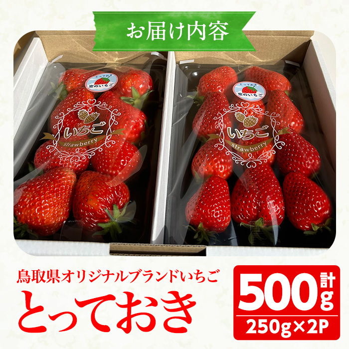 ＜数量限定！期間限定！＞＜2026年1月中旬～3月下旬発送予定＞鳥取県オリジナルブランドのいちご「とっておき」(計500g・250g×2P) 【sm-ED001】【空のいちご】