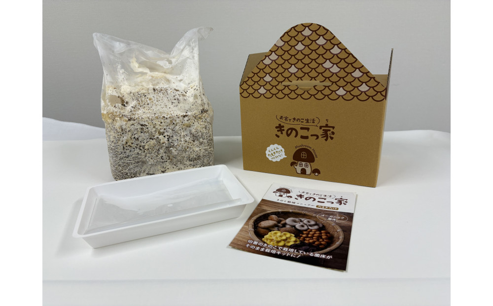 おうちで楽しむ栽培キット「きのこっ家」2種セット　しいたけ×たもぎたけ　 【鳥取県 境港市】