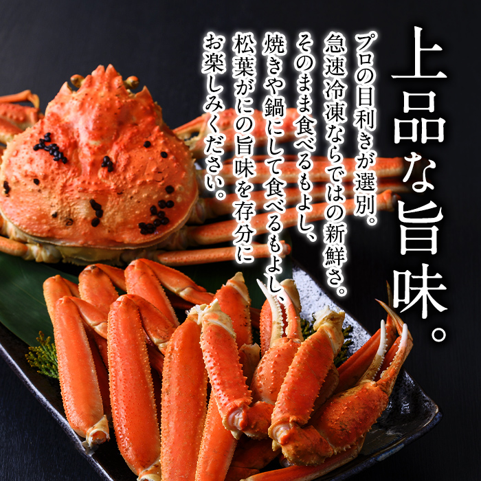 松葉がに・紅ずわいがに食べ比べセットB【sm-AK007】【大漁市場なかうら】