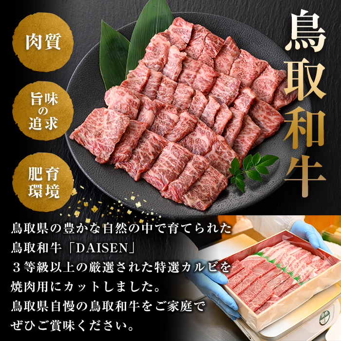 鳥取和牛DAISEN特選カルビ焼肉用(400g)【sm-AO002】【大幸】