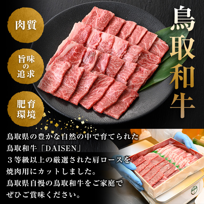 鳥取和牛DAISEN肩ロース焼肉(計400g)【sm-AO003】【大幸】