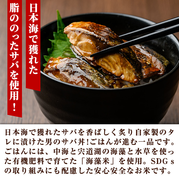 男のサバ丼 (4食)【sm-AV005】【元気亭ぐるーぷ】