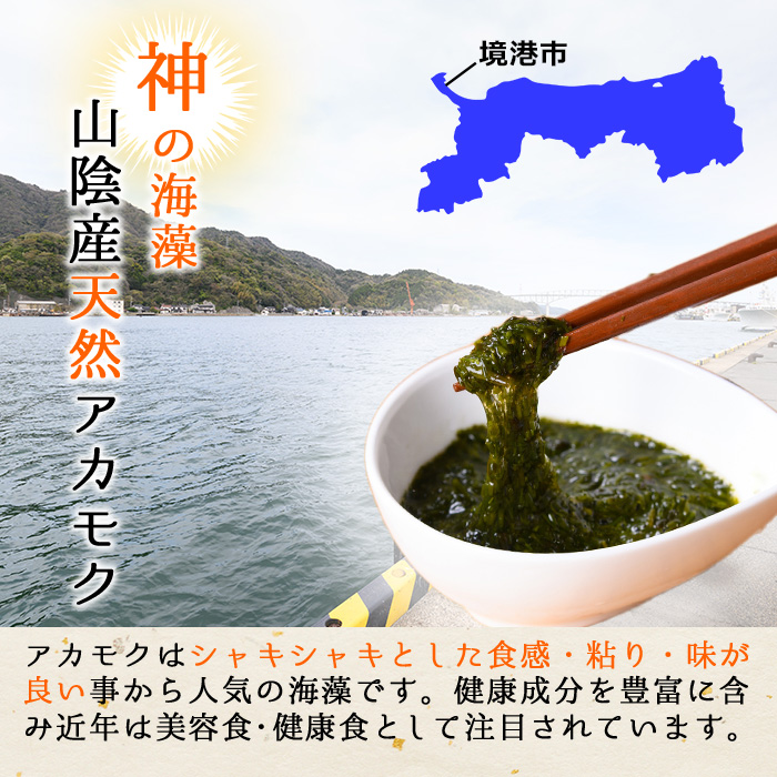 神の海藻いか漬け丼 (4食)【sm-AV006】【元気亭ぐるーぷ】