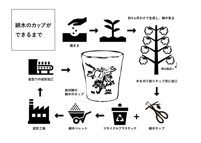 伯州綿の綿木のカップ(1個)【sm-BJ004】【境港市農業公社】