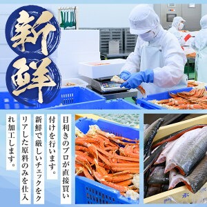 ＜訳あり＞チリ産銀鮭定塩切身(1.2kg)【sm-BO009】【門永水産】